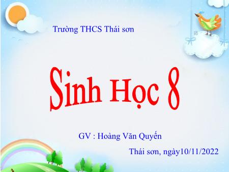 Bài giảng Sinh học 8 - Bài 19: Thực hành Sơ cứu cầm máu - Năm học 2022-2023 - Hoàng Văn Quyến