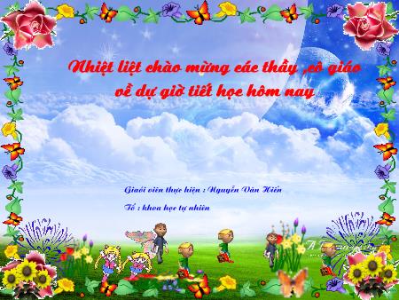 Bài giảng Sinh học 9 - Bài 15: ADN - Nguyễn Văn Hiến