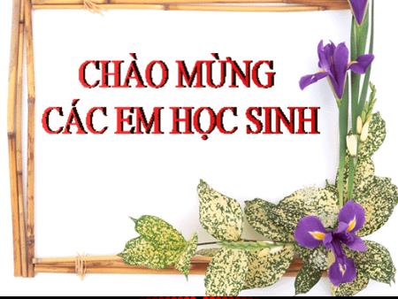 Bài giảng Vật Lí 9 - Bài 23: Từ phổ - Đường sức từ