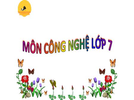 Bài giảng Công nghệ 7 - Bài 2: Quy trình trồng trọt