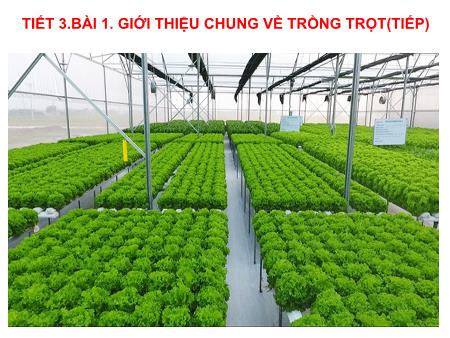 Bài giảng Công nghệ 7 (Cánh diều) - Bài 1: Giới thiệu chung về trồng trọt (Tiết 3)