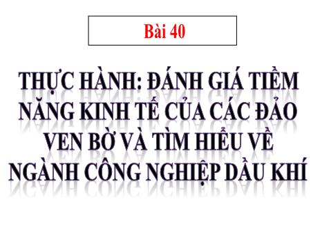 Bài giảng Địa lí 9 - Bài 40: Thực hành - Đánh giá tiềm năng kinh tế của các đảo ven bờ và tìm hiểu về ngành công nghiệp dầu khí