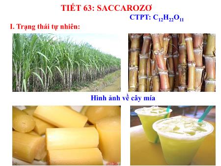 Bài giảng Hóa học 9 - Bài 51: Saccarozơ