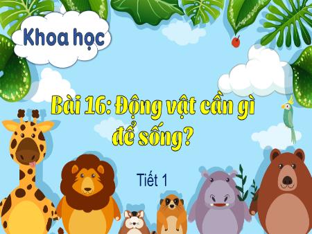 Bài giảng Khoa học 4 - Bài 16: Động vật cần gì để sống? (Tiết 1)