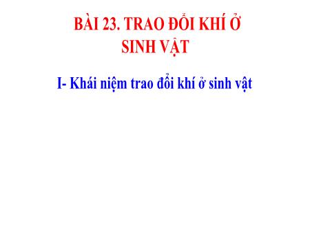 Bài giảng Khoa học tự nhiên 7 - Bài 23: Trao đổi khí ở sinh vật