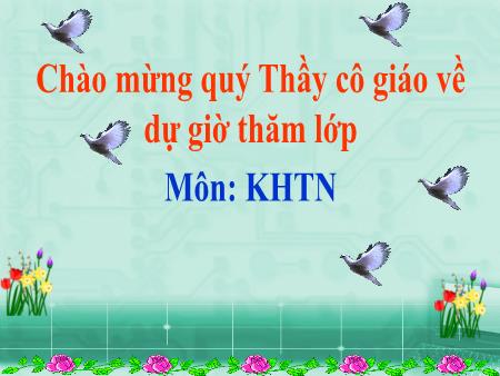 Bài giảng Khoa học tự nhiên 7 - Bài 34: Các yếu tố ảnh hưởng đến sinh sản và điều khiển sinh sản ở sinh vật