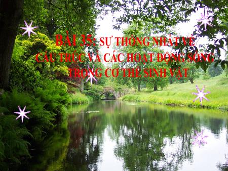 Bài giảng Khoa học tự nhiên 7 - Bài 35: Sự Thống Nhất về cấu trúc và các hoạt động sống trong cơ thể sinh vật