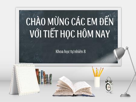 Bài giảng Khoa học tự nhiên 8 - Bài 40: Sinh sản ở người