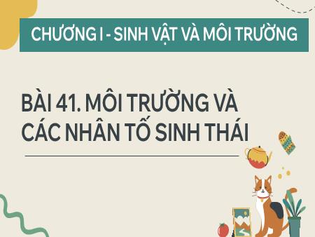 Bài giảng Khoa học tự nhiên 8 - Bài 41: Môi trường và các nhân tố sinh thái