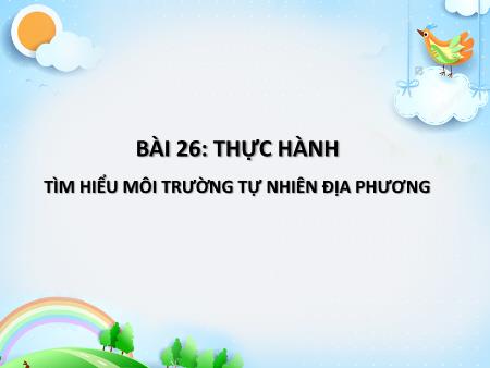 Bài giảng Lịch sử địa phương 6 - Bài 26: Thực hành tìm hiểu môi trường tự nhiên địa phương