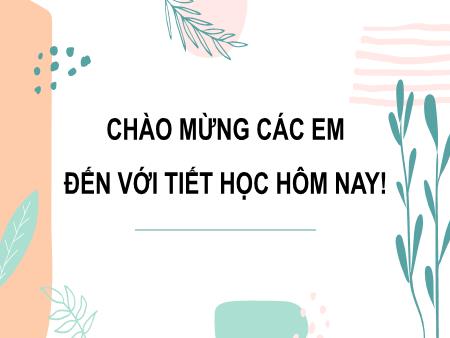 Bài giảng Mĩ thuật 6 - Bài 13: Thiết kế tạo dáng ô tô