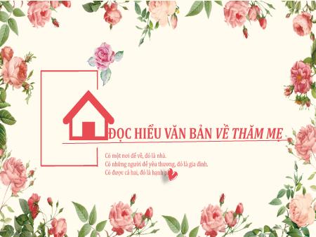 Bài giảng Ngữ Văn 6 - Đọc hiểu văn bản: Về thăm mẹ