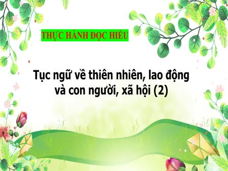 Bài giảng Ngữ văn 7 - Thực hành đọc hiểu: Tục ngữ về thiên nhiên, lao động và con người, xã hội