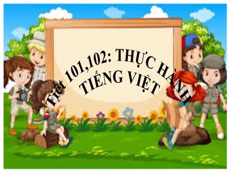 Bài giảng Ngữ Văn 7 - Tiết 101+102: Thực hành tiếng việt