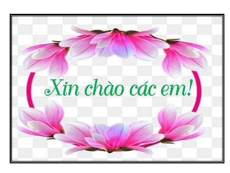 Bài giảng Ngữ văn 8 - Đọc hiểu văn bản: Mời trầu