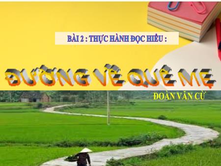 Bài giảng Ngữ Văn 8 - Thực hành đọc hiểu: Đường về quê mẹ