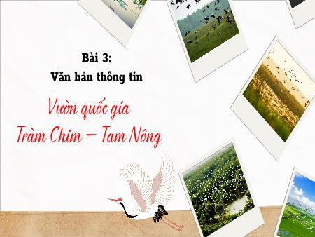 Bài giảng Ngữ văn 9 - Bài 3: Văn bản thông tin - Vườn quốc gia Tràm Chim – Tam Nông