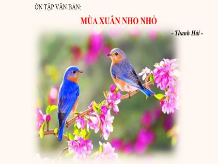 Bài giảng Ngữ Văn 9 - Mùa xuân nho nhỏ