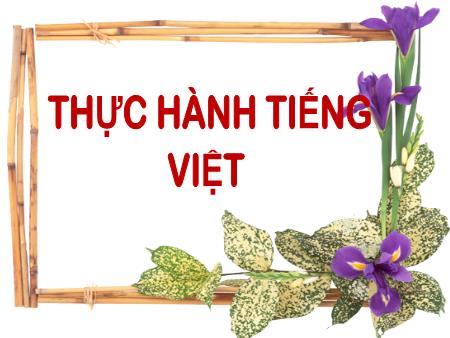 Bài giảng Ngữ Văn Lớp 7 - Thực hành tiếng việt