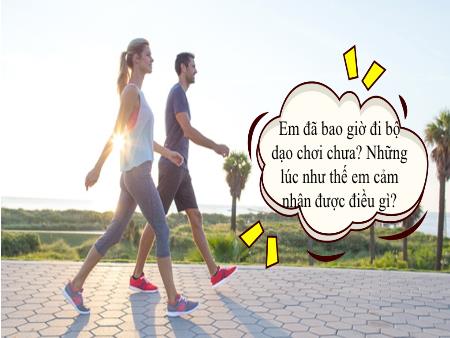 Bài giảng Ngữ Văn Lớp 8 - Bài 27: Đi bộ ngao du (Tiết 114+115)