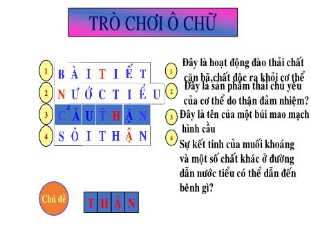 Bài giảng Sinh học 8 - Bài 40: Vệ sinh hệ bài tiết nước tiểu