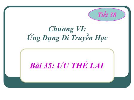 Bài giảng Sinh học 9 - Bài 35: Ưu thế lai (Tiết 38)