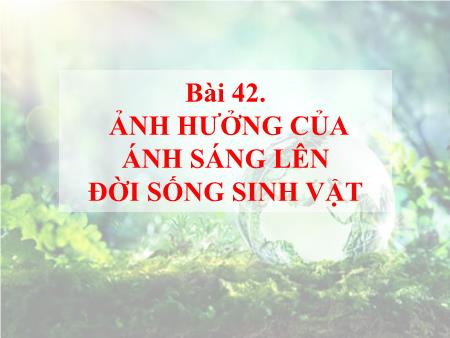 Bài giảng Sinh học 9 - Bài 42: Ảnh hưởng của ánh sáng lên đời sống sinh vật