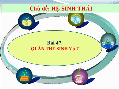Bài giảng Sinh học 9 - Bài 47: Quần thể sinh vật