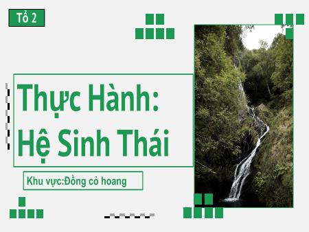Bài giảng Sinh học 9 - Bài 52: Thực hành - Hệ sinh thái