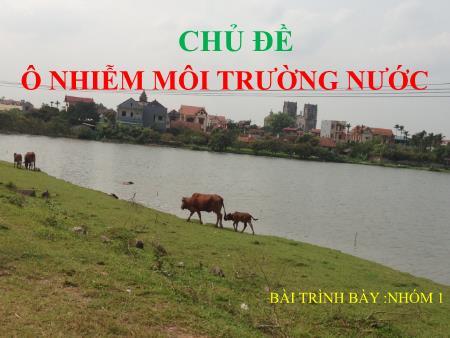 Bài giảng Sinh học 9 - Bài 56: Thực hành tìm hiểu Ô nhiễm môi trường nước