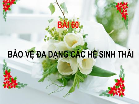 Bài giảng Sinh học 9 - Bài 60: Bảo vệ đa dạng các hệ sinh thái