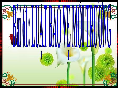 Bài giảng Sinh học 9 - Bài 61: Luật bảo vệ môi trường