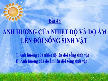 Bài giảng Sinh học Lớp 9 - Bài 43: Ảnh hưởng của nhiệt độ và độ ẩm lên đời sống sinh vật