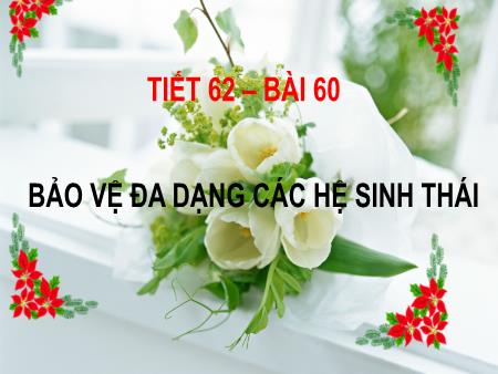 Bài giảng Sinh học Lớp 9 - Bài 60: Bảo vệ đa dạng các hệ sinh thái