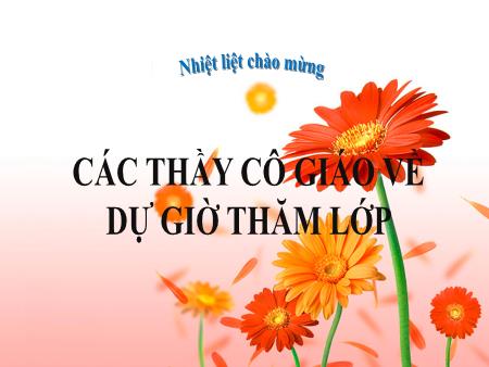 Bài giảng Toán 6 - Bài 40: Biểu đồ cột