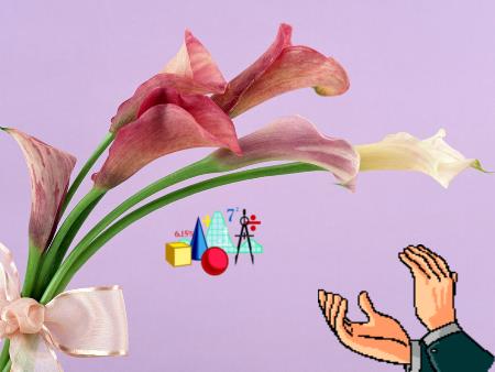 Bài giảng Toán 9 - Chương 3: Liên hệ giữa dây và khoảng cách từ tâm đến dây