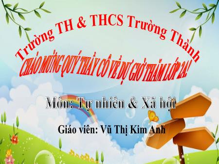 Bài giảng Tự nhiên và xã hội 2 (Kết nối tri thức) - Bài 2: Nghề nghiệp của người lớn trong gia đình (Tiết 1) - Năm học 2023-2024 - Vũ Thị Kim Anh