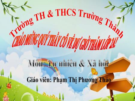 Bài giảng Tự nhiên và xã hội 2 (Kết nối tri thức) - Bài 2: Nghề nghiệp của người lớn trong gia đình (Tiết 1) - Năm học 2023-2024 - Phạm Thị Phương Thảo